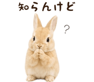 843973878