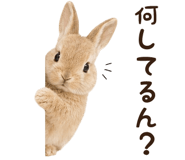 843973884
