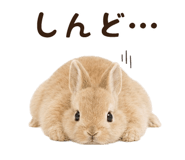 843973887