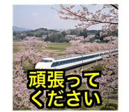 843974948
