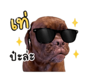 843975226