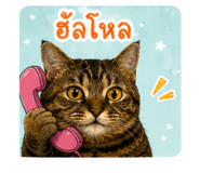 843975249