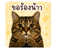 843975251