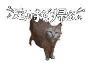 843975318