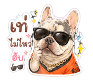 843975387