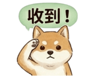 843975402