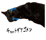 843975685