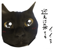843975688
