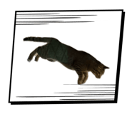 843975969