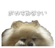 843976817