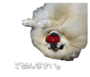 843976820