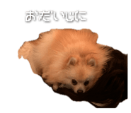 843976824