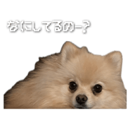 843976828