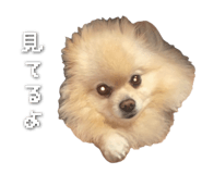 843976830