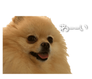 843976834