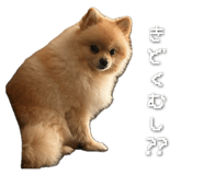 843976837