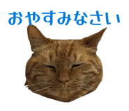 843977077