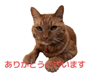 843977078