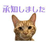 843977080