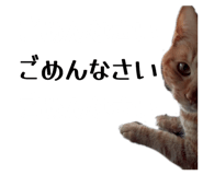 843977086