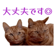 843977092