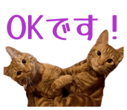 843977093