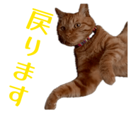 843977099