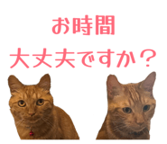 843977104
