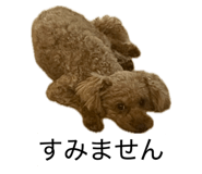 843977235