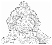 843978477
