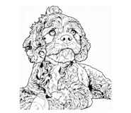 843978479