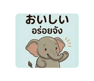 843978502