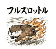 843978555