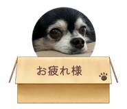 843978583