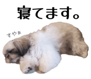 843978890