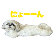 843978894