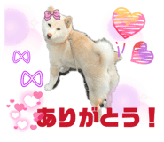 843978922