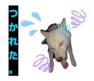 843978923