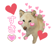 843978926