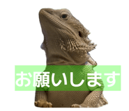 843978963