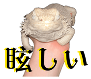 843978965