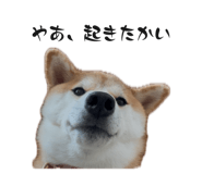 843979054