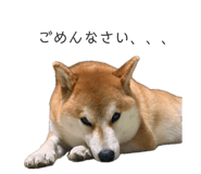 843979057