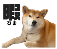843979062