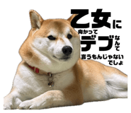 843979064