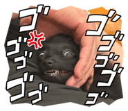 843979468