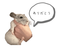 843979538
