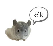 843979539