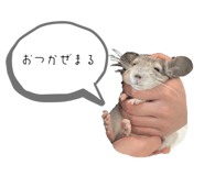 843979542