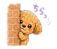 843979574